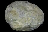 Keokuk Quartz Geode with Calcite & Pyrite Crystals - Missouri #144773-1